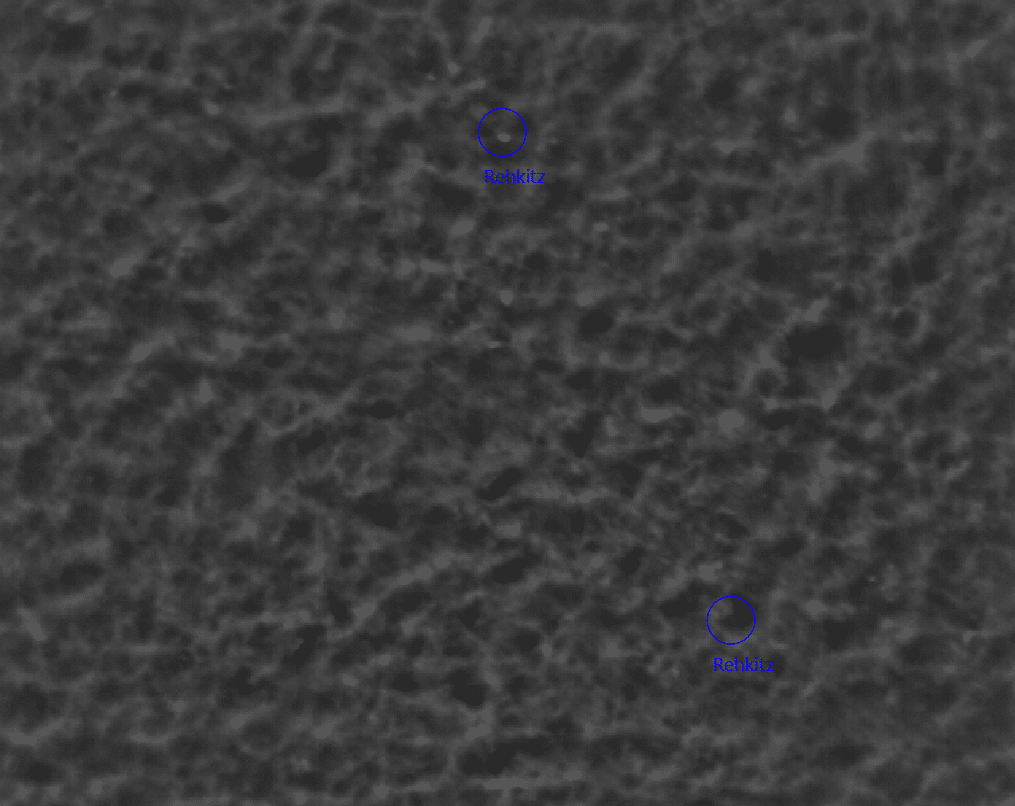 Darstellung eines Wärmebildes mit einem markierten Rehkitz als Wärmepunkt. Die Markierung ist dabei in blauer statt roter Farbe, da hier der Filter für rückprojizierte Funde aktiviert wurde.