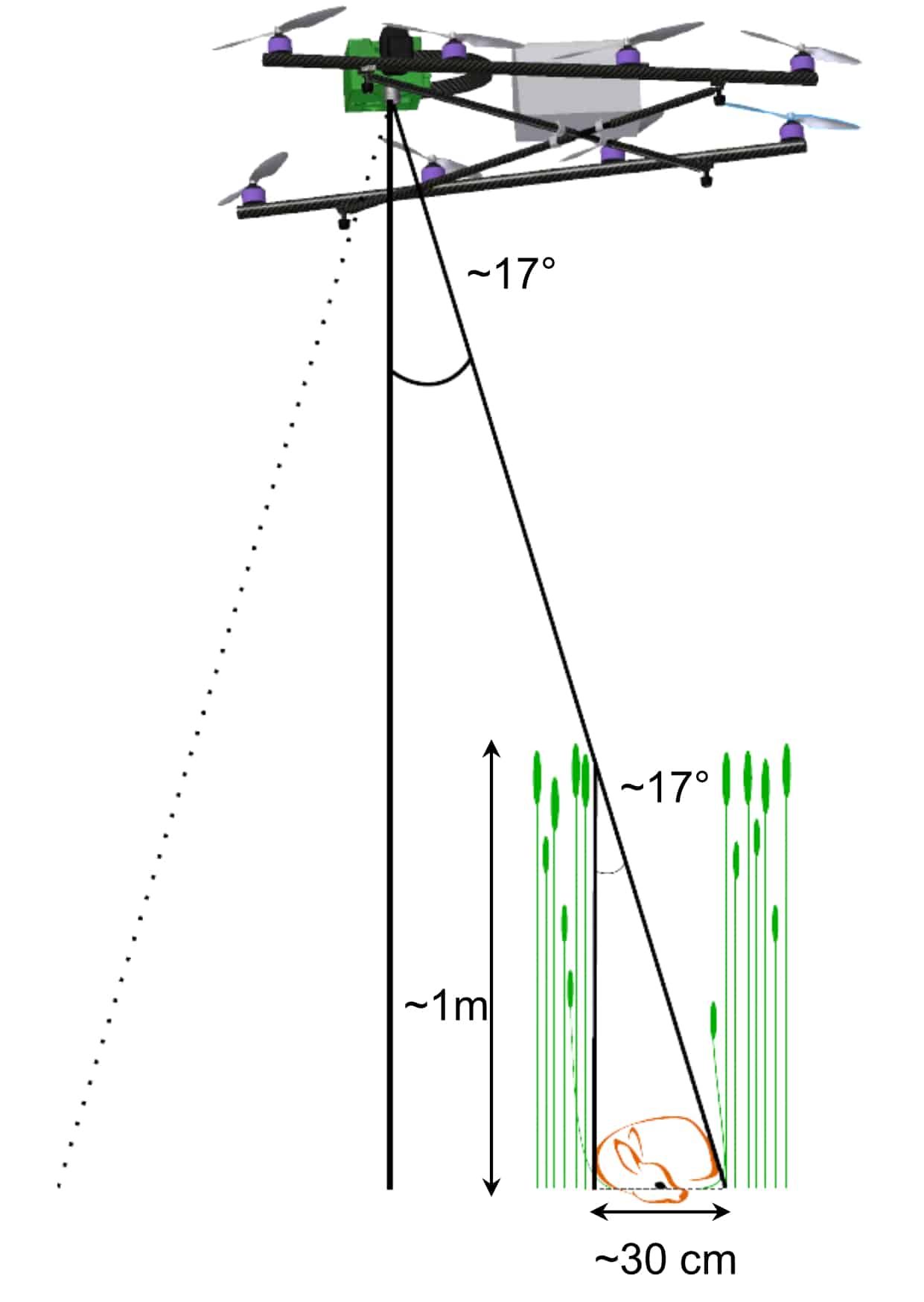 Grafik, die den Zusammenhang des Sichtfeldes der Kamera und der Grashöhe veranschaulicht