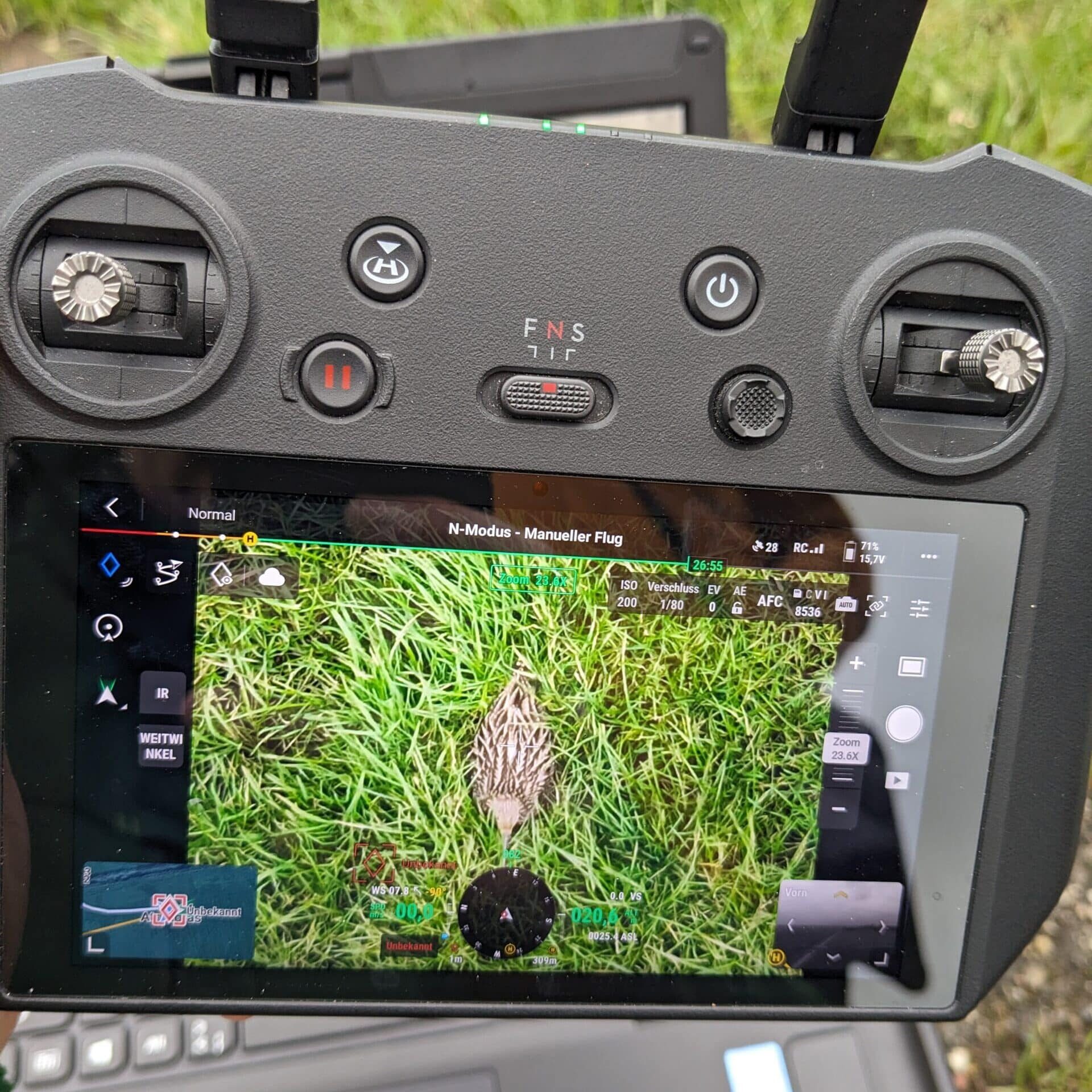 Bild von einem von einem Drohnencontroller für die Mavic 3 Enterprise. Das Bild wurde im Feld aufgenommen. Auf dem Display des Controllers ist ein Wiesenbrüter in der Kameraansicht zu sehen.