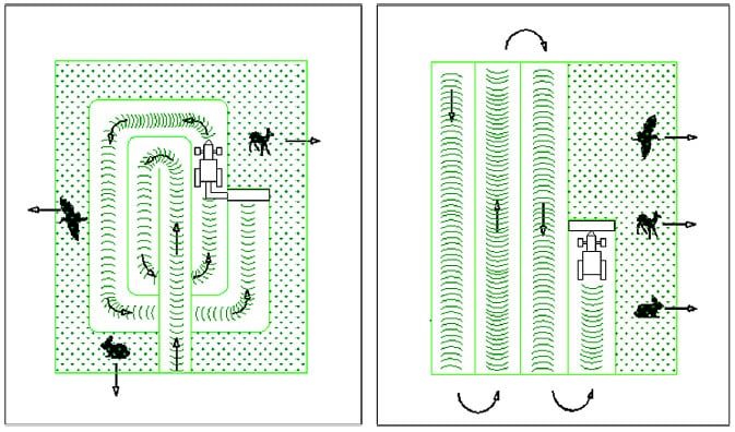 Grafik, die zwei unterschiedliche Mähstrategien und deren Auswirkung auf das Fliehverhalten von Wildtieren veranschaulicht