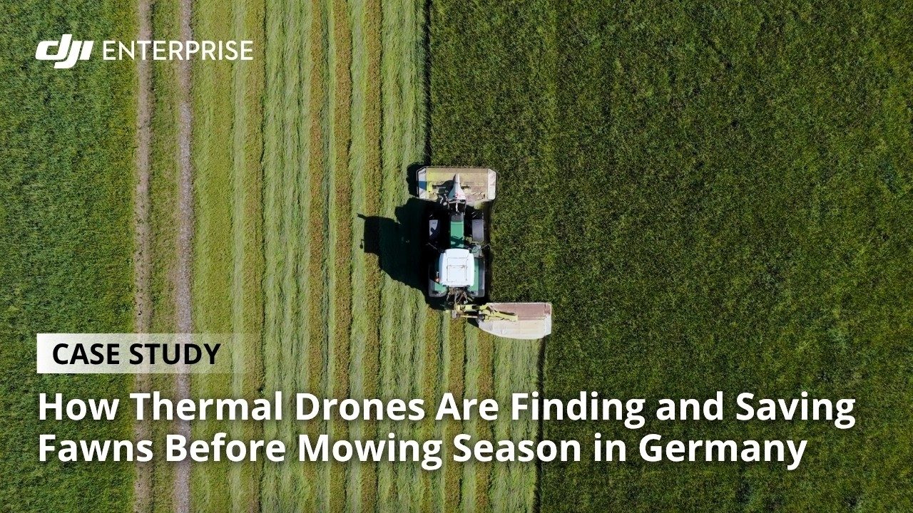Vorschaubild: How Thermal Drones Are Finding and Saving Fawns Before Mowing Season in Germany: DJI Case Study