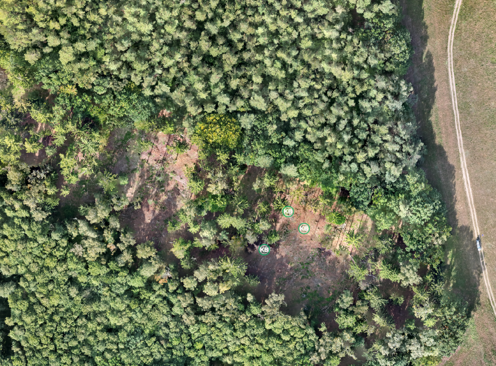 Luftaufname eines Waldgebietes, von einer Drohne aufgenommen. Innerhalb des Waldes sind 2 eng beeinander liegende Lichtungen zu erkennen. Rechts neben dem Wald verläuft ein Feldweg. Beispielbild für Waldzustandserhebung und Vermessungen von Waldgebieten mit Drohnen.